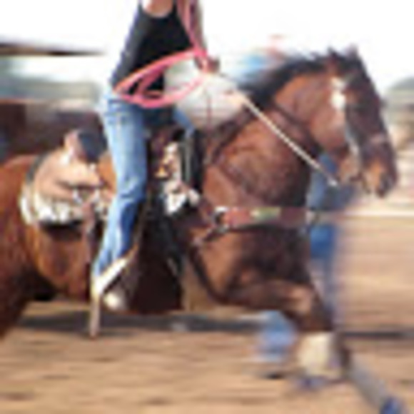 Meet your Posher, Jesse - Picture 1 of 1